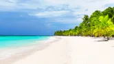 Coconut palm trees on white sandy beach in Caribbean sea, Saona island. Dominican Republic